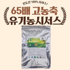 헬리스 인도산 유기농 시서스가루 65배 고농축 추출분말, 1개, 250g