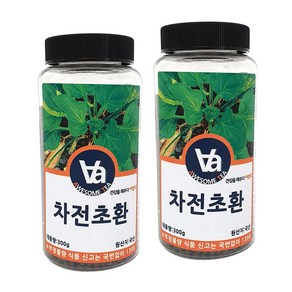 국산 차전초환 (질경이), 300g, 2개