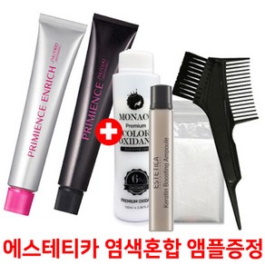 시세이도 염색약80g+에스테티카 염색혼합 앰플증정//멀티컬러/멋내기 유행칼라 프리미언스 멋내기칼라 염모제