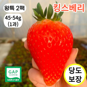 최상품 킹스베리 꿀당도 대왕딸기 논산산지직송, 400g (왕특 사이즈), 2박스