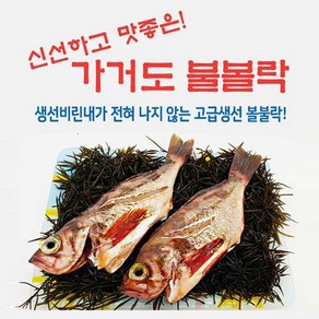 가거도 불볼락(열기) 뽈락 볼락살 손질 열기생선, 가거도 불볼락( 대/3마리 ), 3개