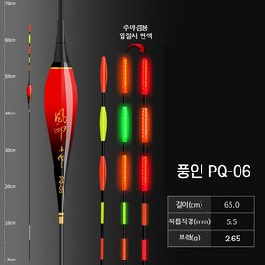 PQ 중통 외통 스마트 전자찌 52cm-65cm낚시 채비 굵은 찌톱 장대 야광 민물, PQ-06 65cm 2.65g+배터리1개