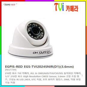 이지피스 EGS-TVI2024SNIR(D1)(3.6mm) TVI 실내 돔카메라, 1개, 이지피스 EGS-TVI2024SNIR(3.6mm)