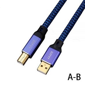 YYTCG 하이파이 USB 케이블 DAC AB AC AA CB CC 6N OCC 디지털 오디오 A to B 하이엔드 타입 에서 데이터