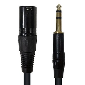 Anyport XLR 캐논 to 5.5mm 스테레오 AUX 마이크 케이블 (AP-XLR502MS 2m) 변환젠더/기타-기타 변환젠더