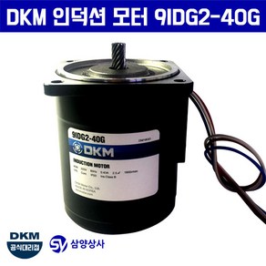 DKM 인덕션 모터 9IDG2-40G 단상 220V, 1개