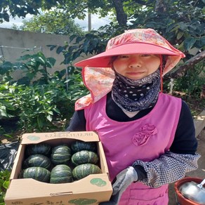 제주 밤호박 단호박 밤호박 보우짱 해남 밤호박 1.5kg 3kg 5kg 10kg 20kg, 1개, 밤호박10kg