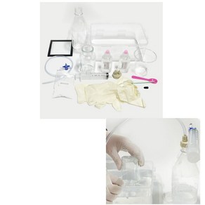 이산화탄소실험 초등과학교구 초등과학키트 EQ 어린이