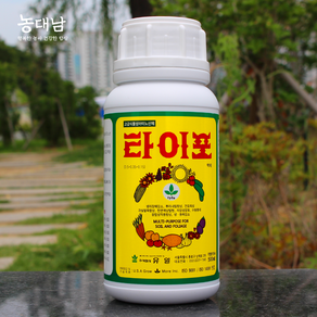 타이포 액제 500ml 고농축 식물성 아미노산 영양제 비료 +자재스토어 장갑셋트, 1개