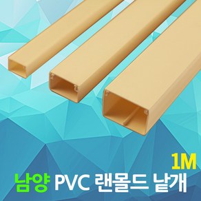 DJ전기조명 몰드 PVC 랜몰드 랜덕트 몰딩 덕트 남양 1M 랜닥트 덕트 닥트 전선자재 전선몰딩 전기자재 케이블 보호 전선정리, 01.남양랜몰드 백색1M 60x40