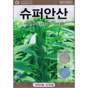 (씨앗) 슈퍼안산참깨 - 코팅참깨 - 가지깨 - 참깨 씨앗 종자 - 3천립, 1개