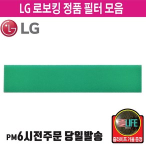 LG 정품 로보킹 로봇 청소기 헤파 필터 물걸레 (즐라이프 거울 증정), 1개, 1.R02T/스펀지필터(단품)