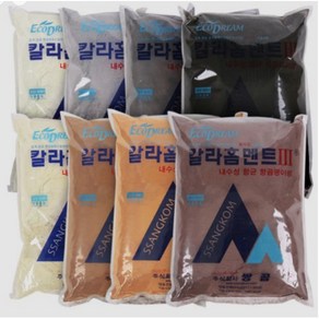 쌍곰 홈멘트 줄눈시멘트 백시멘트 칼라 5kg, 진회색, 1개