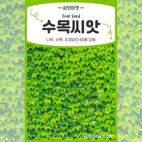 각종 나무 씨앗 모음 수목 과수 산림 조경 나무씨 종자, 07.D옻나무 20g, 1개