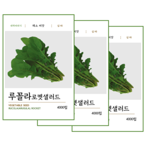 루꼴라 로켓 샐러드 씨앗 4000립, 3개