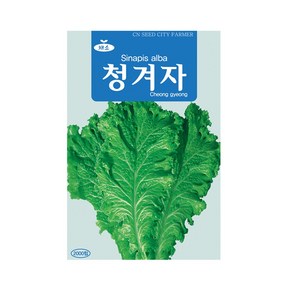 (CN) 청겨자 씨앗 (2000립), 1개