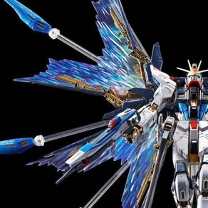 BANDAI 기동전사 건담 SEED Destiny RG 1/144 스트라이크 프리덤 건담용 확장 이펙트 유닛 “천공의 날개”, 상품명참조