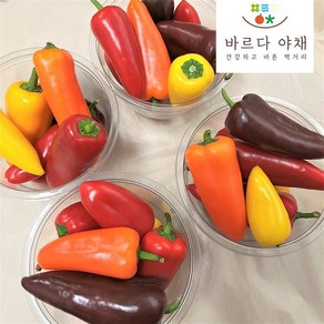 바르다야채 국내산 미니파프리카 250g 500g 1kg 2kg