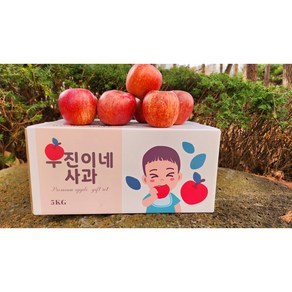 우진이네 사과 경북 청송 가정용 꿀사과 못난이사과 ( 소과 혼합)