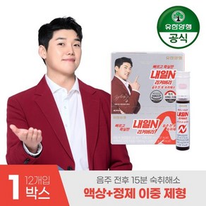 유한양행 내일N 리커버리 이중제형 숙취해소제 1박스(12개입), 없음