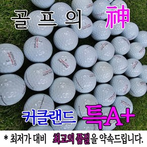 골프의 신 커클랜드 로스트볼 특A+급 화이트 3피스, 1개, 10개입