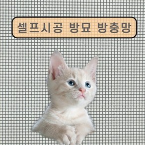 고양이 방충망 방묘창 셀프시공, 1개