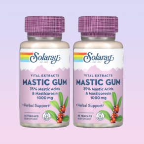 솔라레이 Solaay 매스틱 메스틱 검 Mastic Gum 1000mg 45캡슐 2개, 45정