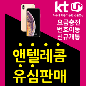 앤텔레콤 자급제사용가능 kt lg 정품 공식 유심 판매 선불폰 선불유심, KT유심(KT미납폰사용불가), 1개