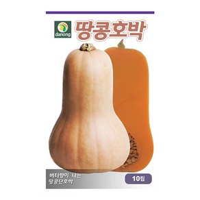 다농 땅콩호박 씨앗 10립, 땅콩호박 10립, 1개