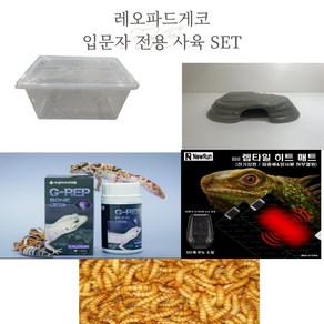 레오파드게코 랜덤모프, 입문자전용 사육 SET, 1개