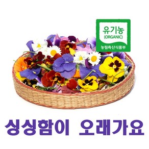 식용꽃 먹는꽃