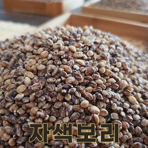 전북 고창 23년산 국산 자색보리 1kg 자맥 자수정보리