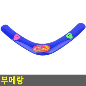 부메랑 원반놀이 원반놀이 플라잉디스크 부메랑 레저용원반 야외놀이