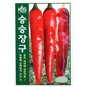 승승장구 고추씨앗 100립 KS종묘 23년, 1개