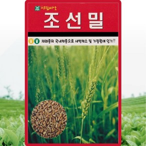 아람종묘 조선밀 씨앗 30g 재래종 밀씨 곡물 종자, 1개