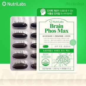 nutrilabs 뉴트리랩스 포스파티딜세린 은행잎 브레인포스맥스 60캡슐