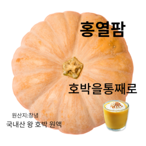 (홍열팜) 통째로 갈아만든 진짜 붓기차 다이어트차 호박즙 110ml, 호박즙의효능, 50개