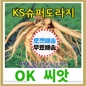 [OK씨앗] [KS슈퍼도라지] 도라지씨앗 종자(오케이씨앗), 1개