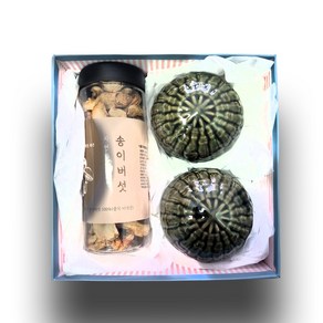 A급 송이버섯차 선물세트 50g+도자기잔2 자연이 선사하는 고급선물, 1개