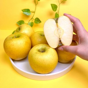 조은팜 시나노골드 고당도 황금사과 정품 부사사과, 1박스, 2kg(정품) 10-13과