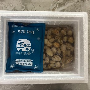 통영 산지직송 생물 오만둥이 미더덕, 1박스, 1.5kg