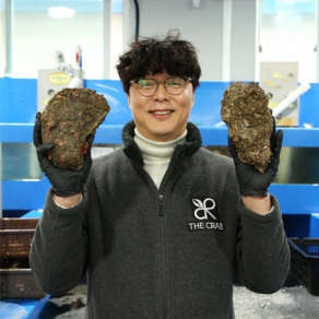 제철 굴 석화 5kg 10kg 통영 여수 각굴 석굴 삼배체굴 바위굴 벚굴 하프셀, 1개, 바위굴 3kg (1kg당 2미전후)