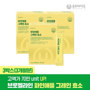 온유바이오 파인애플 그레인 효소, 3개, 105g