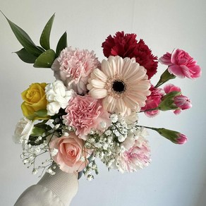 [사직생화] 어버이날 가정의달 기획 카네이션 생화 꽃 묶음 (받는 날자 지정 가능), 1세트