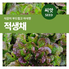 마이플랜트 적생채 씨앗 1g, 1개