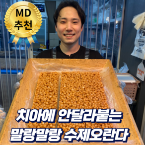 설탕제로 말랑촉촉 수제오란다 플레인 견과 개별포장, 1개, 400g