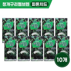 청개구리 차량용방향제 멤브렌(10개)무료배송 청개구리-사과향(10개), 청개구리-피톤치드향(10개), 10개