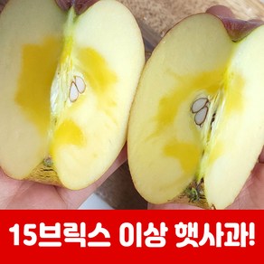 햇사과 부사 꿀 사과 고당도 가정용 선물용 햇사과 2kg 5kg 10kg