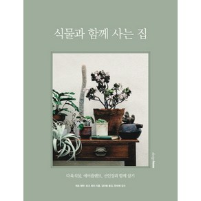 식물과 함께 사는 집:다육식물 에어플랜트 선인장과 함께 살기, 디자인하우스