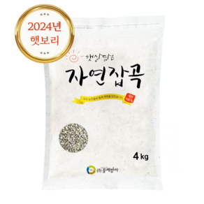 국산 겉보리쌀 4kg